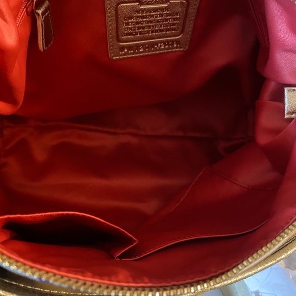 💎NWT Coach Daisy Applique Hobo Bag Multicolor - Picture 8 of 13